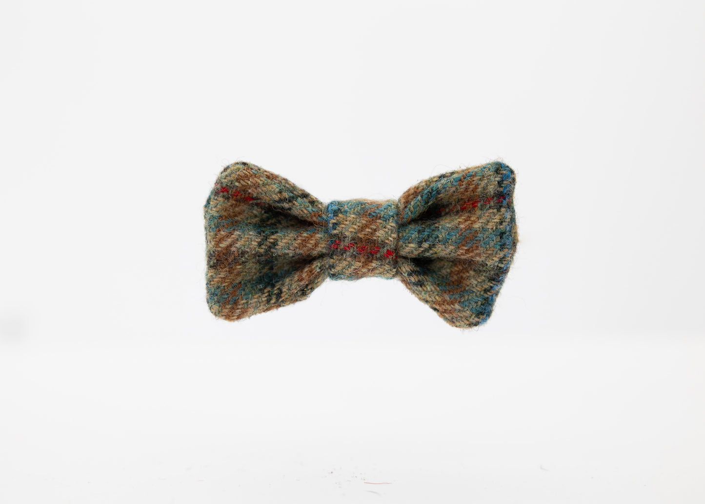 Check_Puppy_Bow_Tie