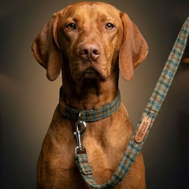 Stylish Hound Lead: Handmade Pink Tweed Dog Lead, featuring durable British craftsmanship, perfect for elegant pets. Ideal choice for Dog Leads.