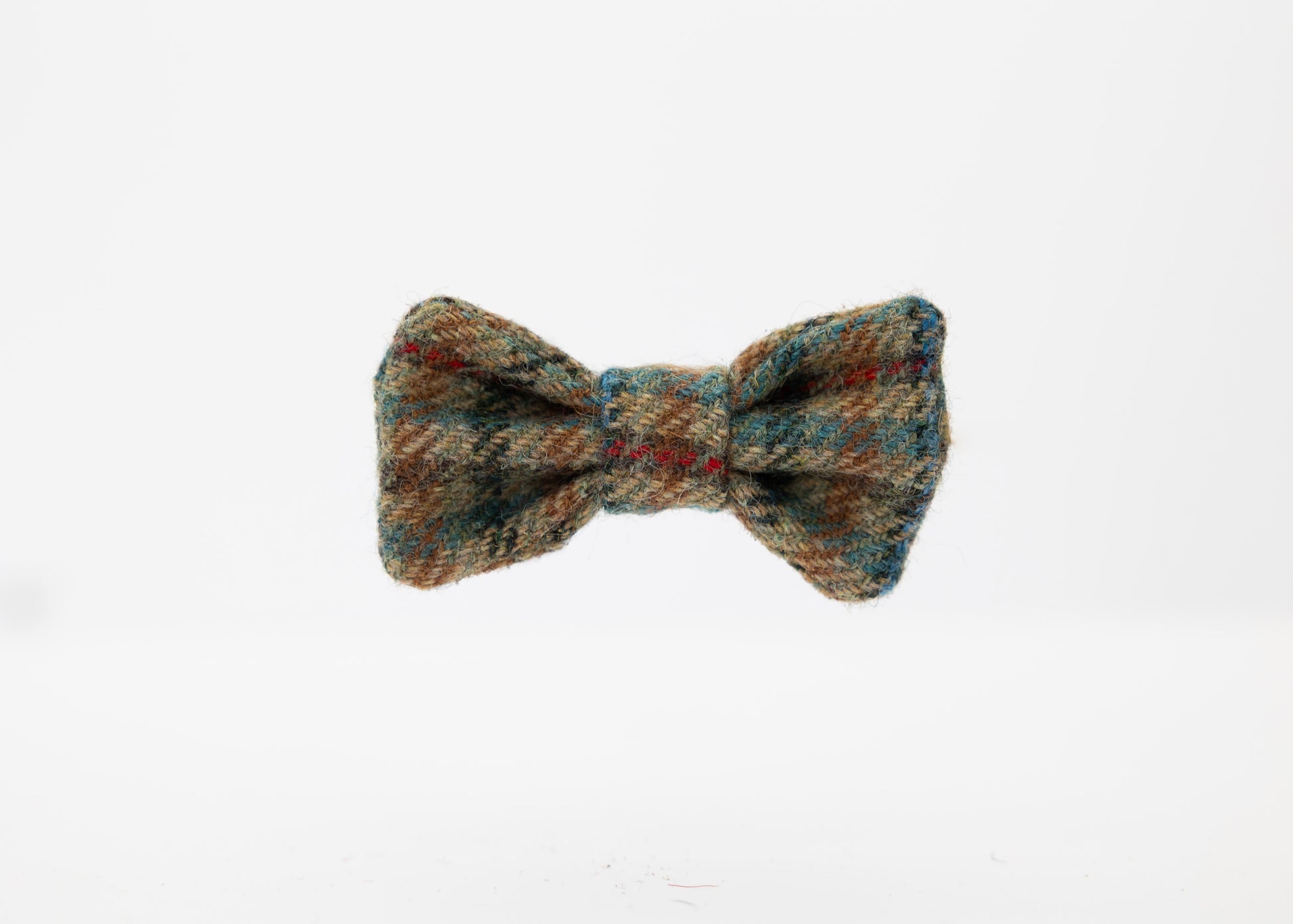 Check_Puppy_Bow_Tie