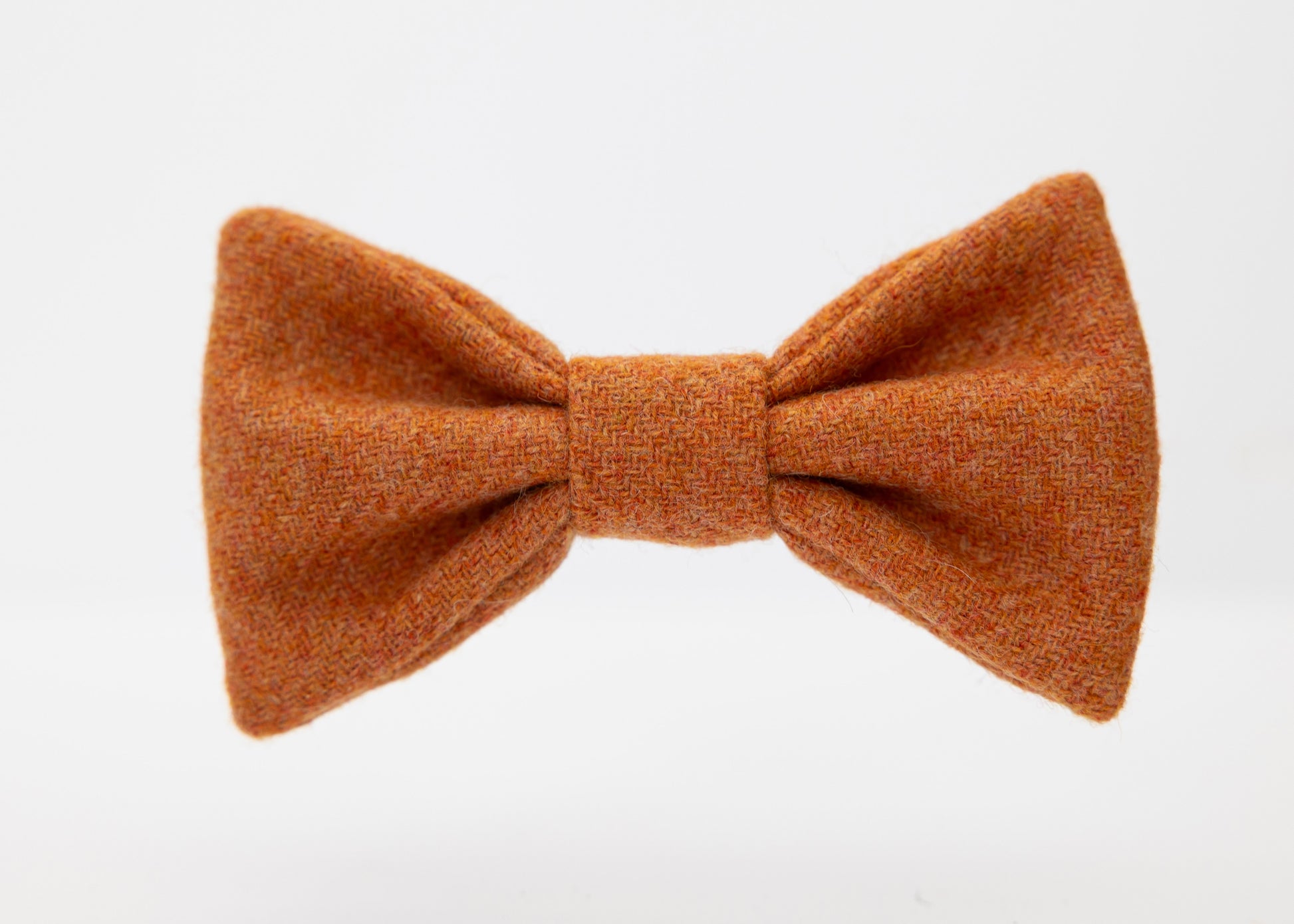 Orange_Adult_Dog_Bow_Tie