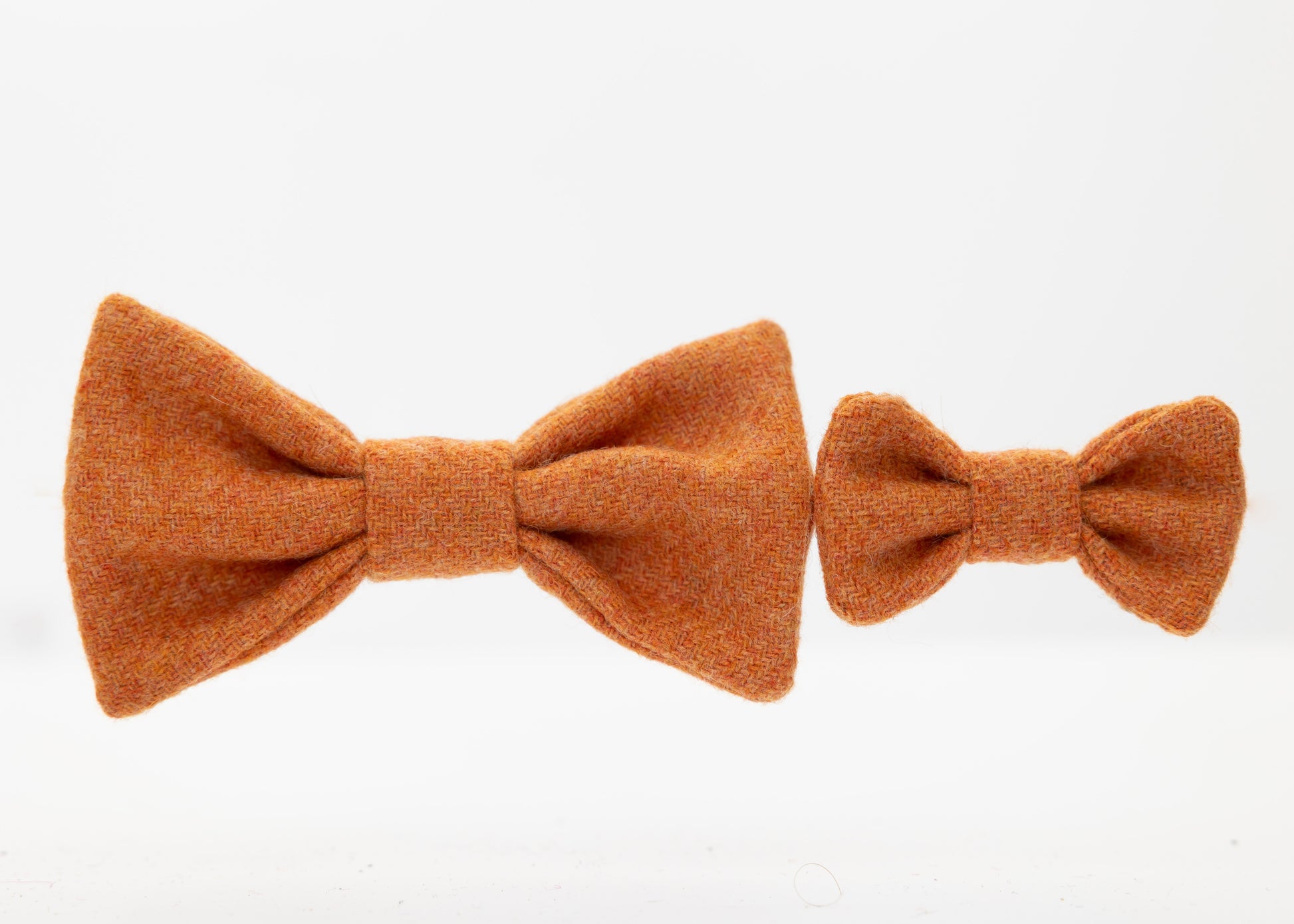 Orange_Dog_Bow_Ties_Adult_and_Puppy