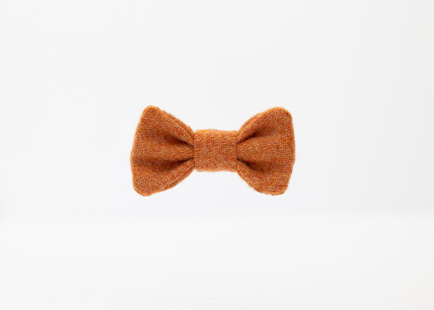 Orange_Puppy_Dog_Bow_Tie