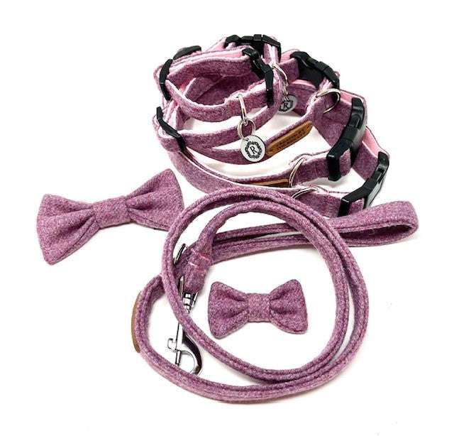 Pink dog collar and leash set with bow ties on a white background